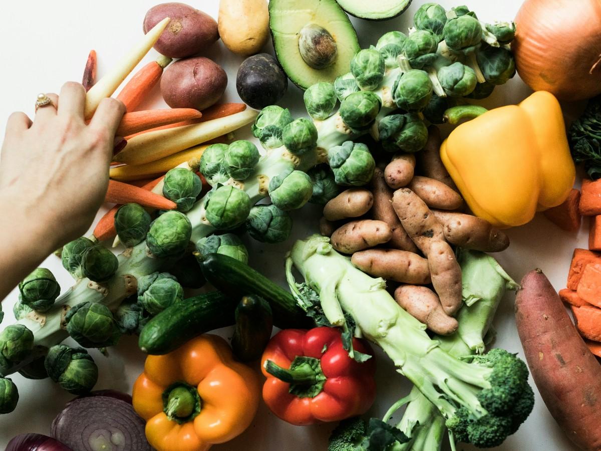 Fit met voeding
